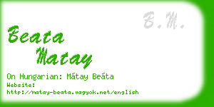 beata matay business card