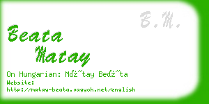 beata matay business card